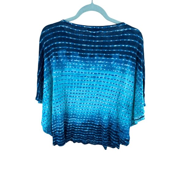 Lauren Ralph Lauren Petite Batwing Top Blue Ombre Stripe Size PL - Picture 4 of 6